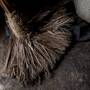 broom_1280px-broom_from_a_home_in_haiti.jpg