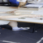 playingwithwood.gif