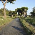 road_appian_way.jpg