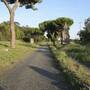 road_appian_way.jpg