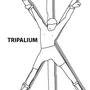 tripaliumcropped.png