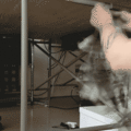 20250722_closures.gif